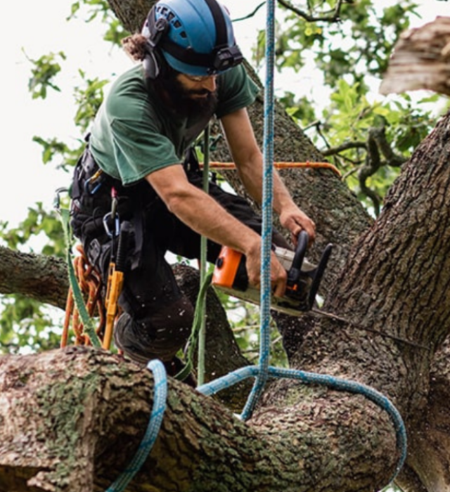 Advantages-of-Local-Expertise-Jeffs-Tree-Service-in-Action-1080×675 Advantages-of-Local-Expertise-Jeffs-Tree-Service-in-Action-1080x675